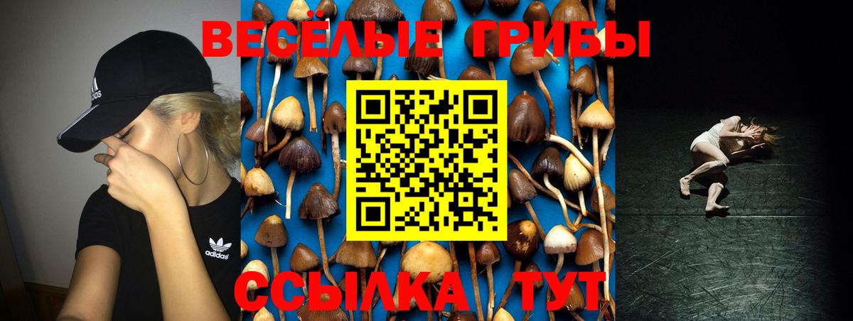 Псилоцибиновые грибы ЛСД Рязань